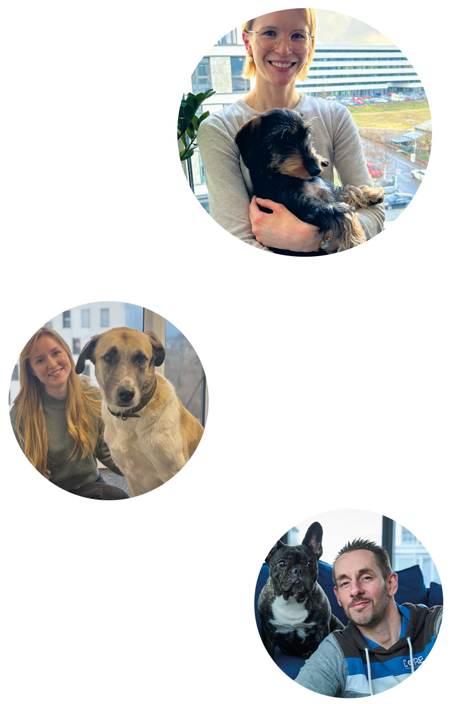 Hunde im Büro vertreiben Stress und verbreiten gute Laune