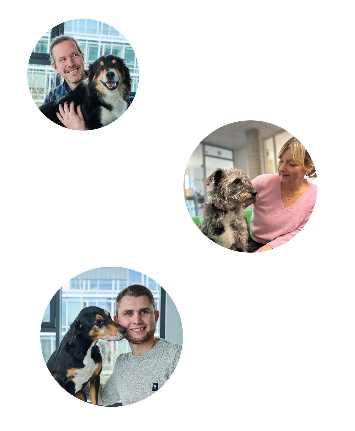 Hunde im Büro vertreiben Stress und verbreiten gute Laune