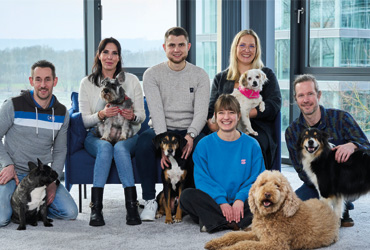 Hunde im Büro vertreiben Stress und verbreiten gute Laune