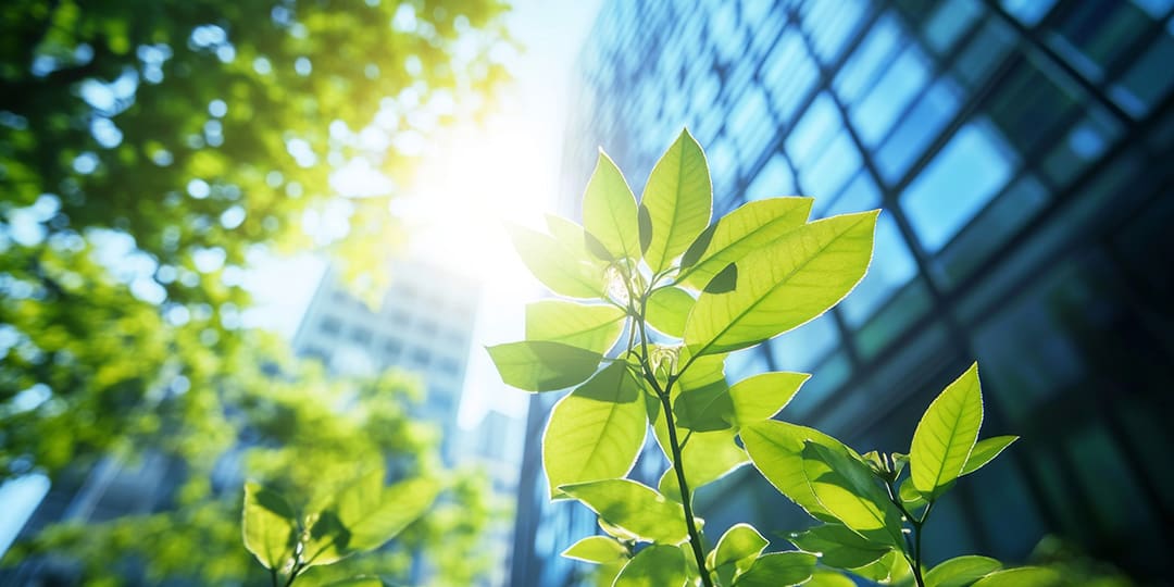 Nachhaltige Digitalisierung im Gesundheitswesen durch CO2-Reduktion, inklusive Arbeitskultur und verantwortungsvolle Lieferketten.