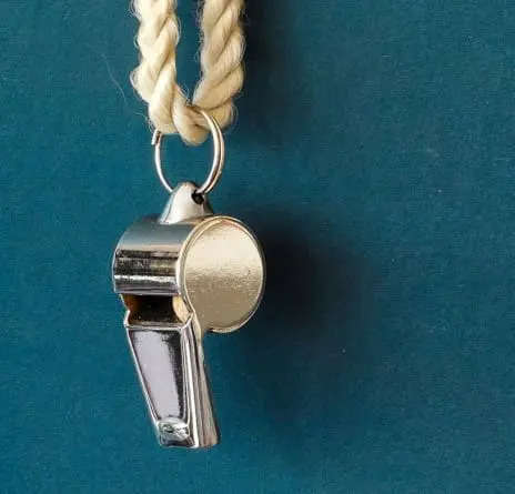 Die Dedalus-Gruppe hat das Whistleblowing Management System eingerichtet, um Integrität, Transparenz und ethisches Verhalten innerhalb der Gruppe zu fördern.