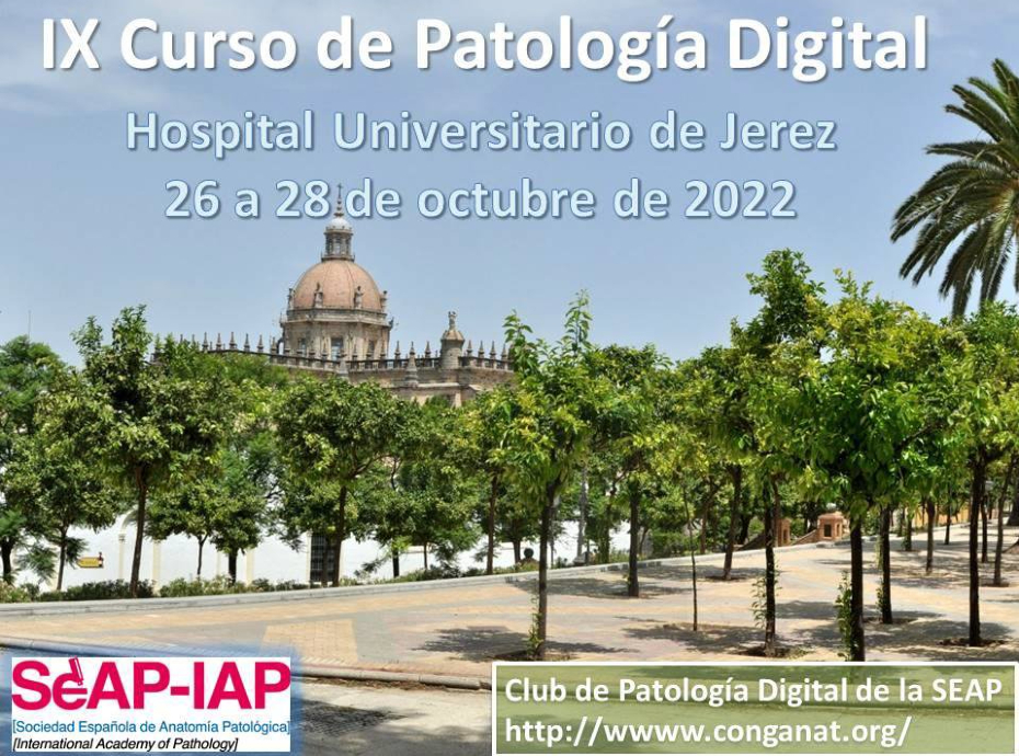 Curso Patologia Digital. Retos y oportunidades